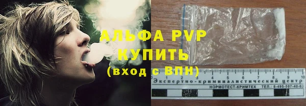 индика Балахна