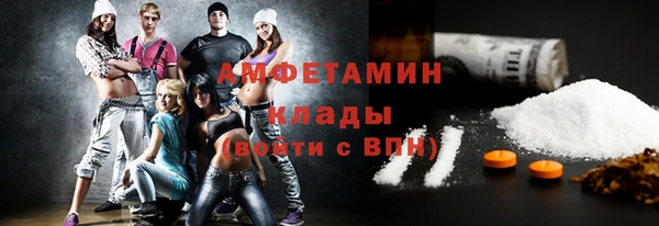 индика Балахна