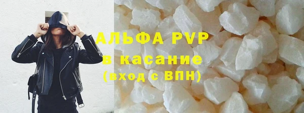 индика Беломорск