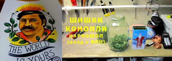 индика Беломорск